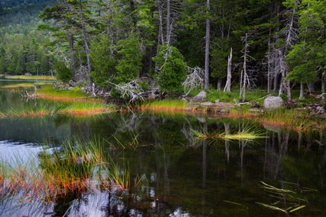 Summer at Upper Hadlock Pond - NHP251 Summer at Upper Hadlock Pond - NHP251